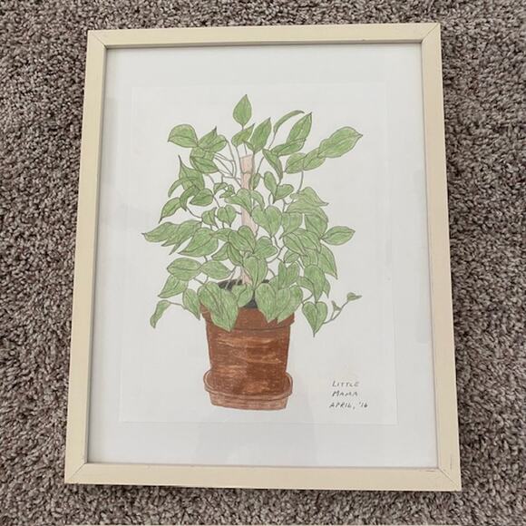 Unknown Artist Other - Original Art Philodendron "Little Mama" April‎ 2016 Pencil Drawing Framed